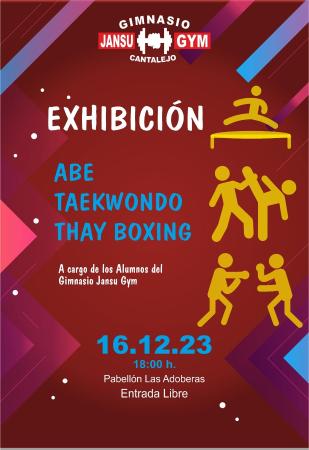 EXHIBICION_TAEKWONDO_ABE_THAYBOXING