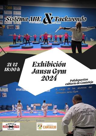 Imagen Exhibición de ABE y Taekwondo